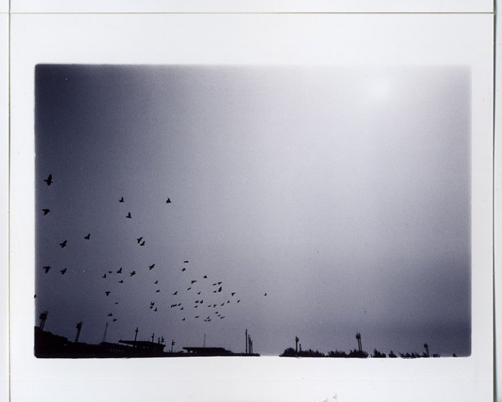 22048_1152731153202_7849805_n