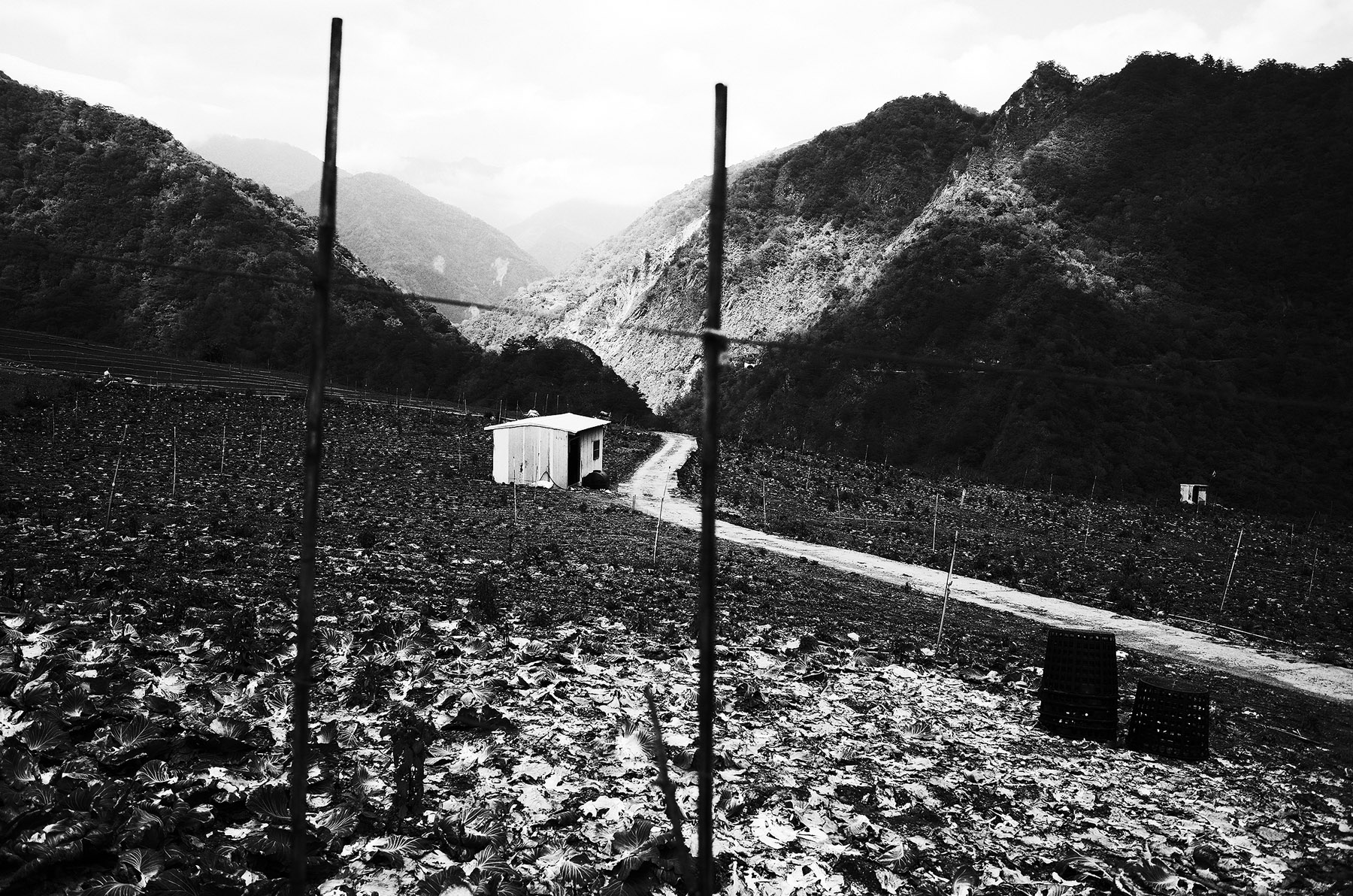 26049749545_c8d8723967_o